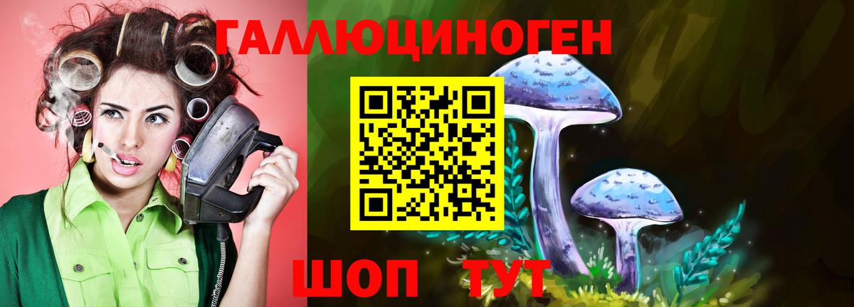 Рассказово  Галлюциногенные грибы Cubensis  купить наркоту  Вход с VPN 